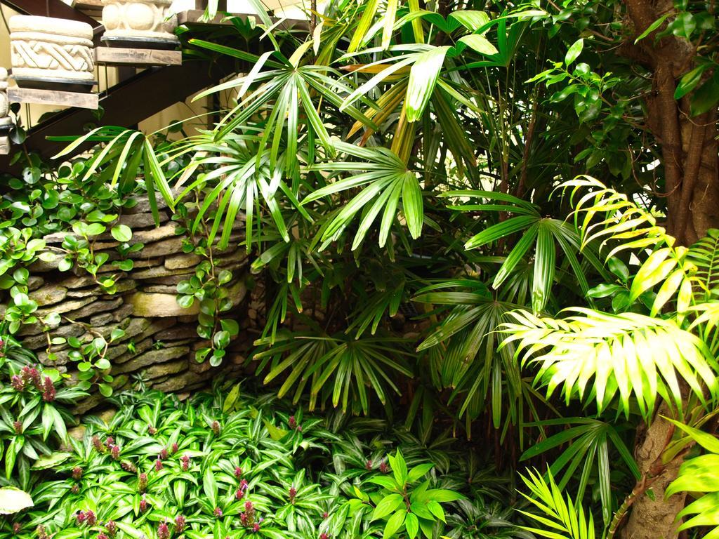 Hotel The Palm House Inn San Jose  Exterior foto